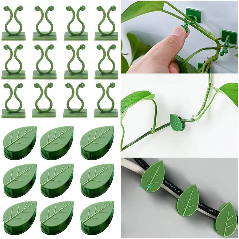 Pflanzenreben-Traktionshalter, unsichtbare Pflanzen-Kletterwandbefestigung, Clips, selbstklebender Haken für drinnen und draußen, gedreht oder befestigt Image