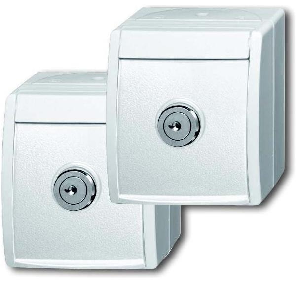 Busch-Jaeger Steckdose 20/20 EWSL-54 2CKA002083A0836 Image