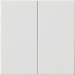 Gira Wippe 2-fach 537003 Image