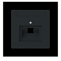 Busch-Jaeger Zentralscheibe 1-fach, UAE 1803-45M 2CKA001710A4222 Image