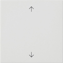 Gira Wippe 1-fach 538927 Image