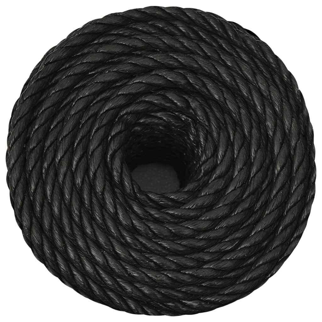 vidaXL Arbeitsseil Schwarz 16 mm 50 m Polypropylen Image