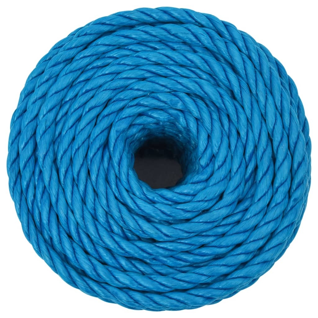 vidaXL Arbeitsseil Blau 16 mm 50 m Polypropylen Image