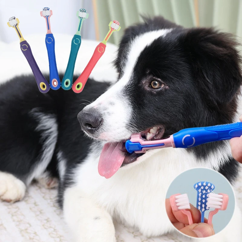 Haustier Hund Zahnbürste 3-Seitige Haustier Zahnbürste Hund Reinigung Mund Zahnbürste Multiangle Reinigung Zähne Werkzeug Katze Liefert Image