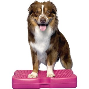 Blue-9 Propel Air Platform Canine Conditioning Dog Fitness Equipment & Accessories, Pink, 1 count