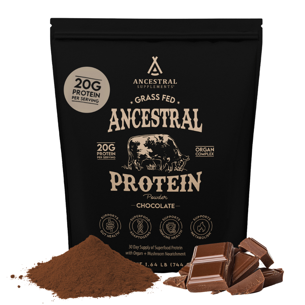 Ancestral Supplements - Ancestral Protein Powder Chocolate - Dietary Supplement