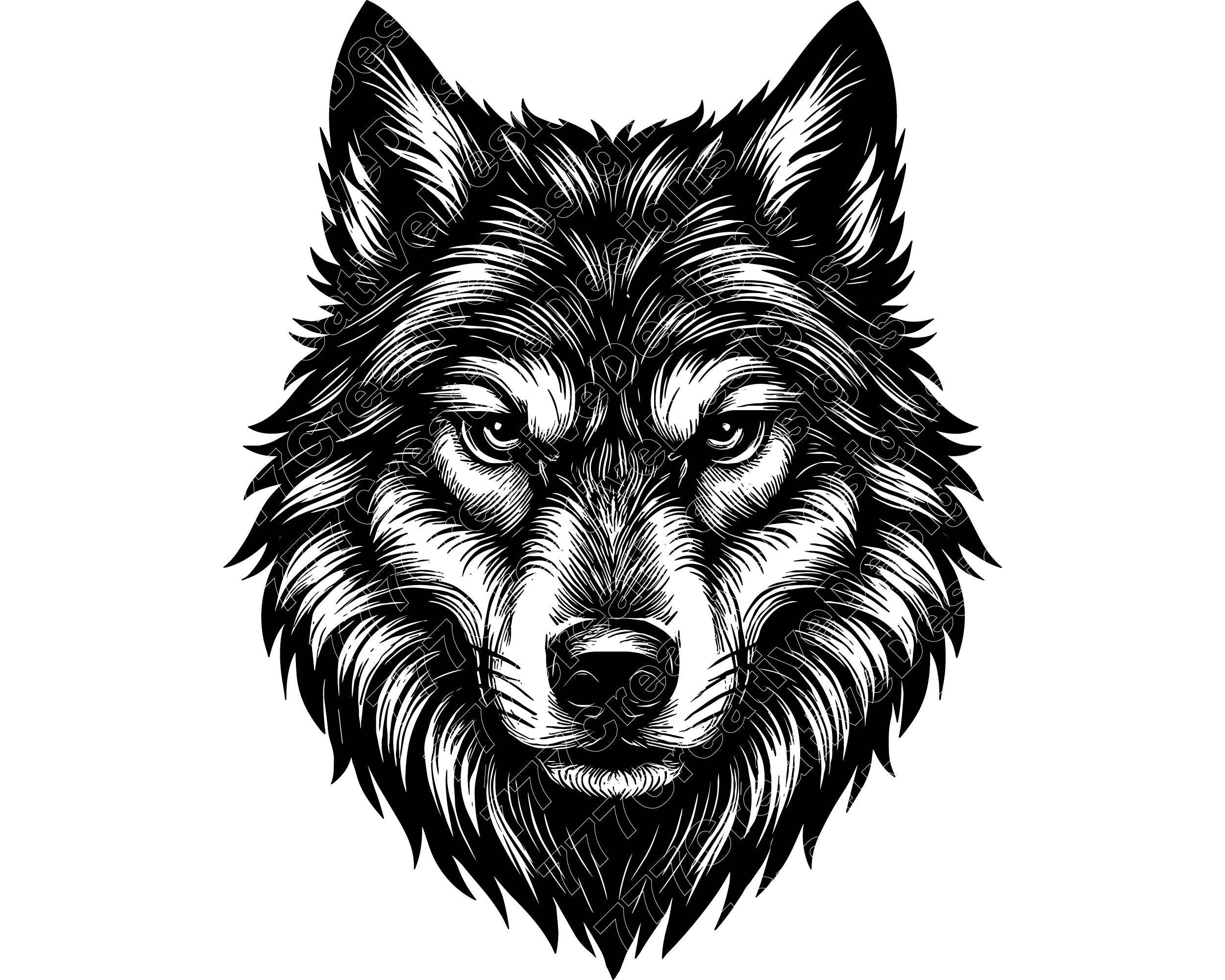 Illustrazione vettoriale di testa di lupo, lupo SVG, lupo PNG, lupo JPG, arte del lupo, clipart del lupo, sagoma del lupo, testa di lupo ululante, tes