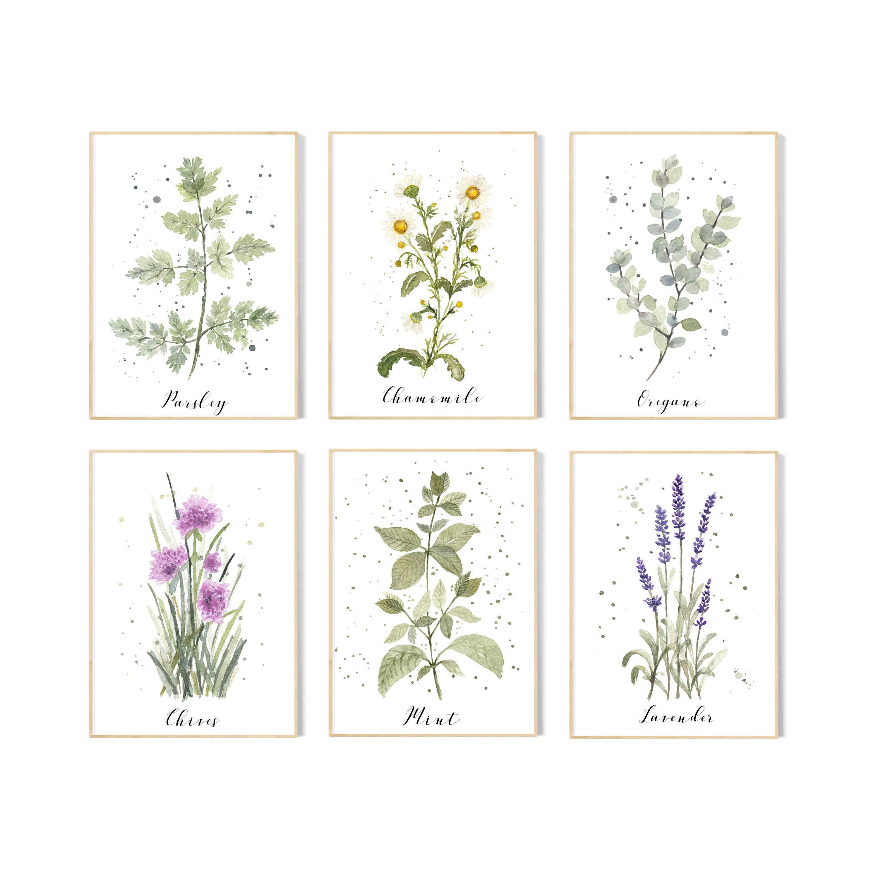 Stampe botaniche di erbe aromatiche da cucina / Set di decorazioni murali ad acquerello con erbe aromatiche da cucina / Stampe artistiche murali di er