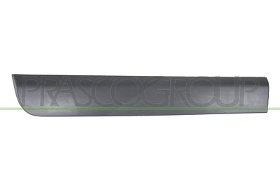 Prasco Zier-/Schutzleiste, Tür [Hersteller-Nr. DA7301453] für Dacia
