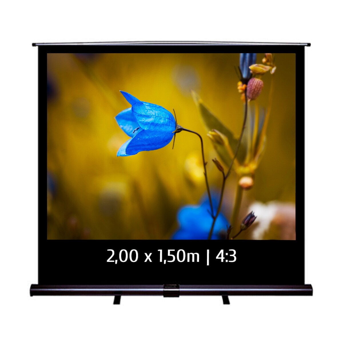 KIMEX - Transportable Leinwand Pull Up 2,00 x 1,50m - Format 4:3 Image