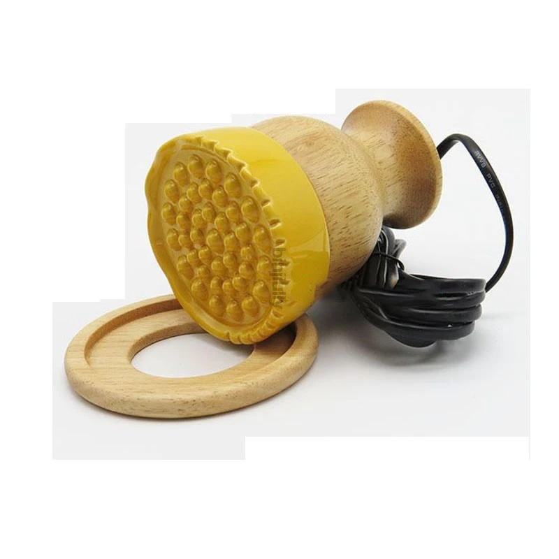 Masseur de moxibustion à chauffage électrique, compresse chaude, spa de beauté, guasha, massage à vapeur, outil de physiothérapie de santé, 220V-110V