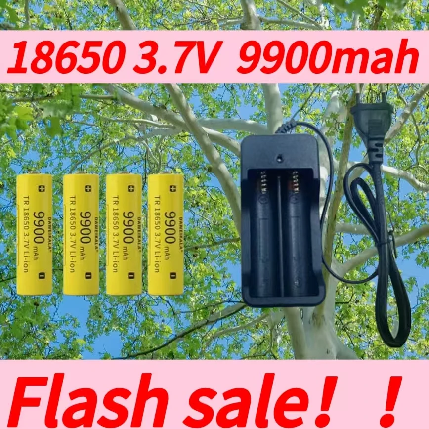 Daweikala Neue 2025 3,7 V 18650 9900 mAh Kapazität Lithium-Ionen Taschenlampe Akku + Ladegerät 18650 wiederaufladbare batterie Image
