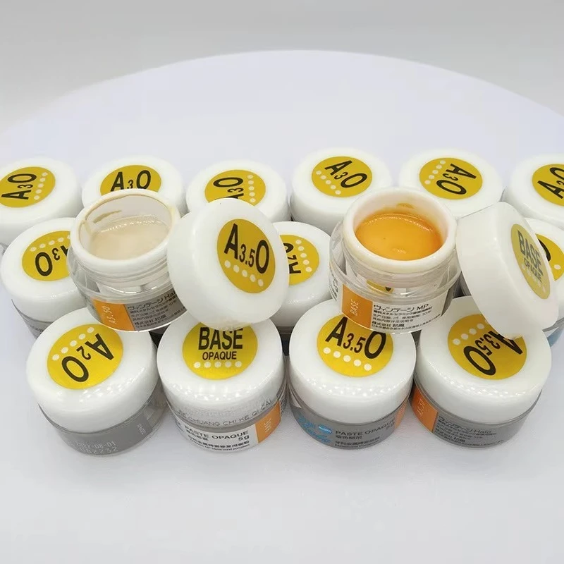 5 g/bouteille traitement des prothèses dentaires matériau spécial pâte de porcelaine métallique dentaire pâte Opaque porcelaine matériau de dentisterie