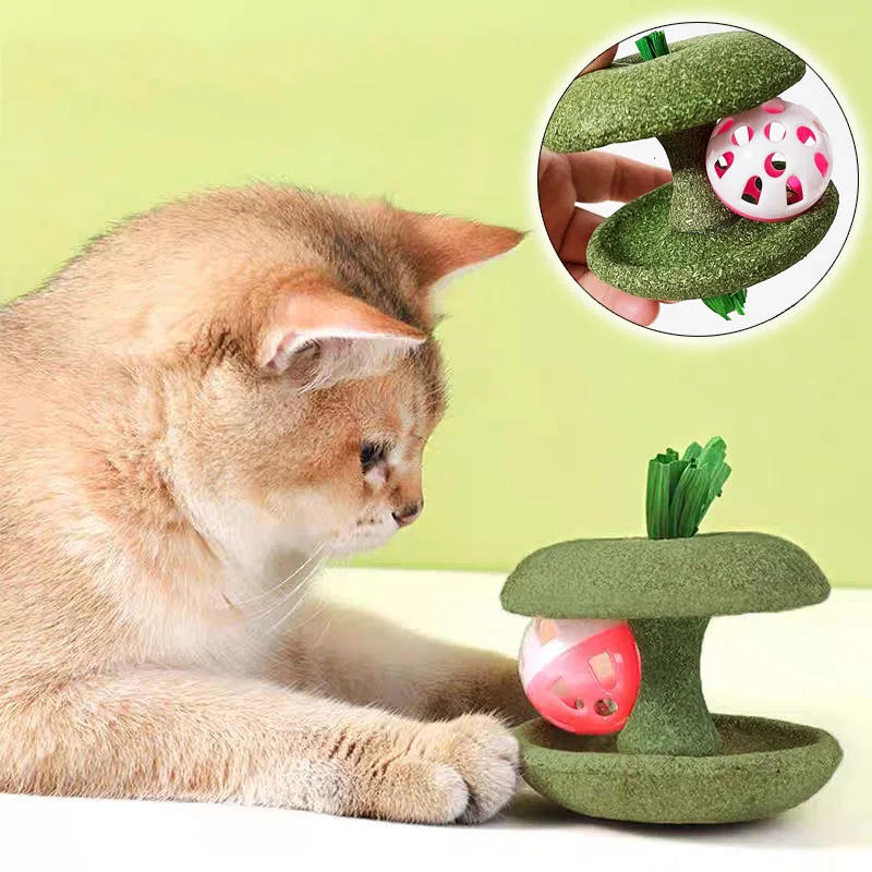 Haustier Katze Katzenminze Spielzeug Essbare Katzenminze Apfelform Mit Glocke Sicherheit Gesunde Katzen Hause Jagen Spiel Spielzeug Saubere Zähne Katze Mint Spielzeug Image