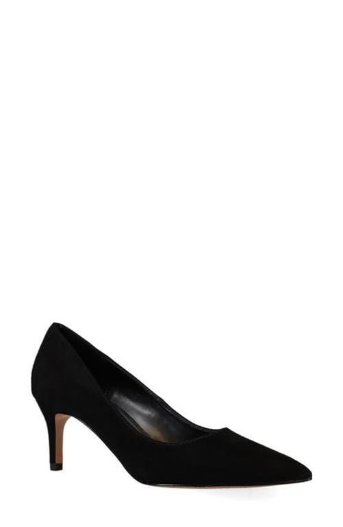 Lailoni Pointed Toe Pump - Black - Pelle Moda Heels