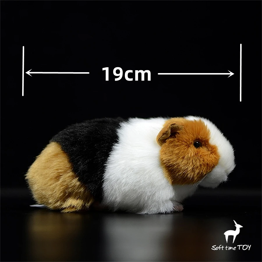 Guinea Pig High Fidelity Anime Nette Plushie Cavy Plüsch Spielzeug Lebensechte Tiere Simulation Gefüllte Puppe Kawai Spielzeug Geschenke Für Kinder Image