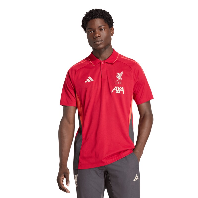 Liverpool adidas Polo - Rot Image