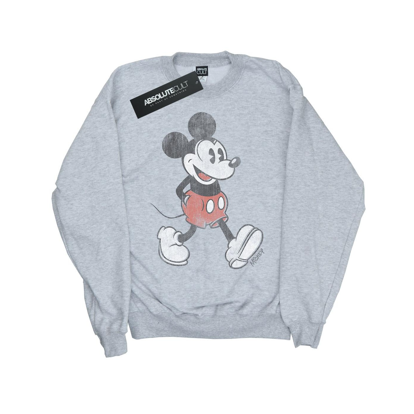Disney - Sweat WALKING - Garçon (Gris chiné) Image