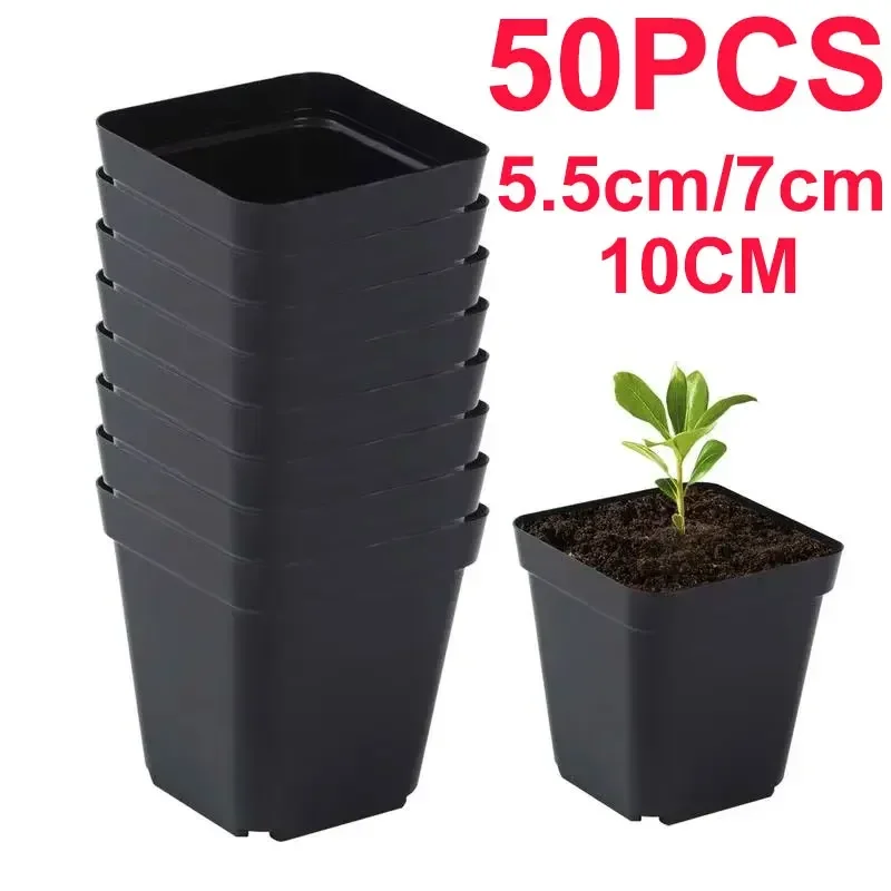 Vasi per piantine 50 pezzi quadrati per piante da semina - tazza per piantare plastica vivaio profondo vaso per alberi vaso per piante da fiore vaso da giardino coltivazione