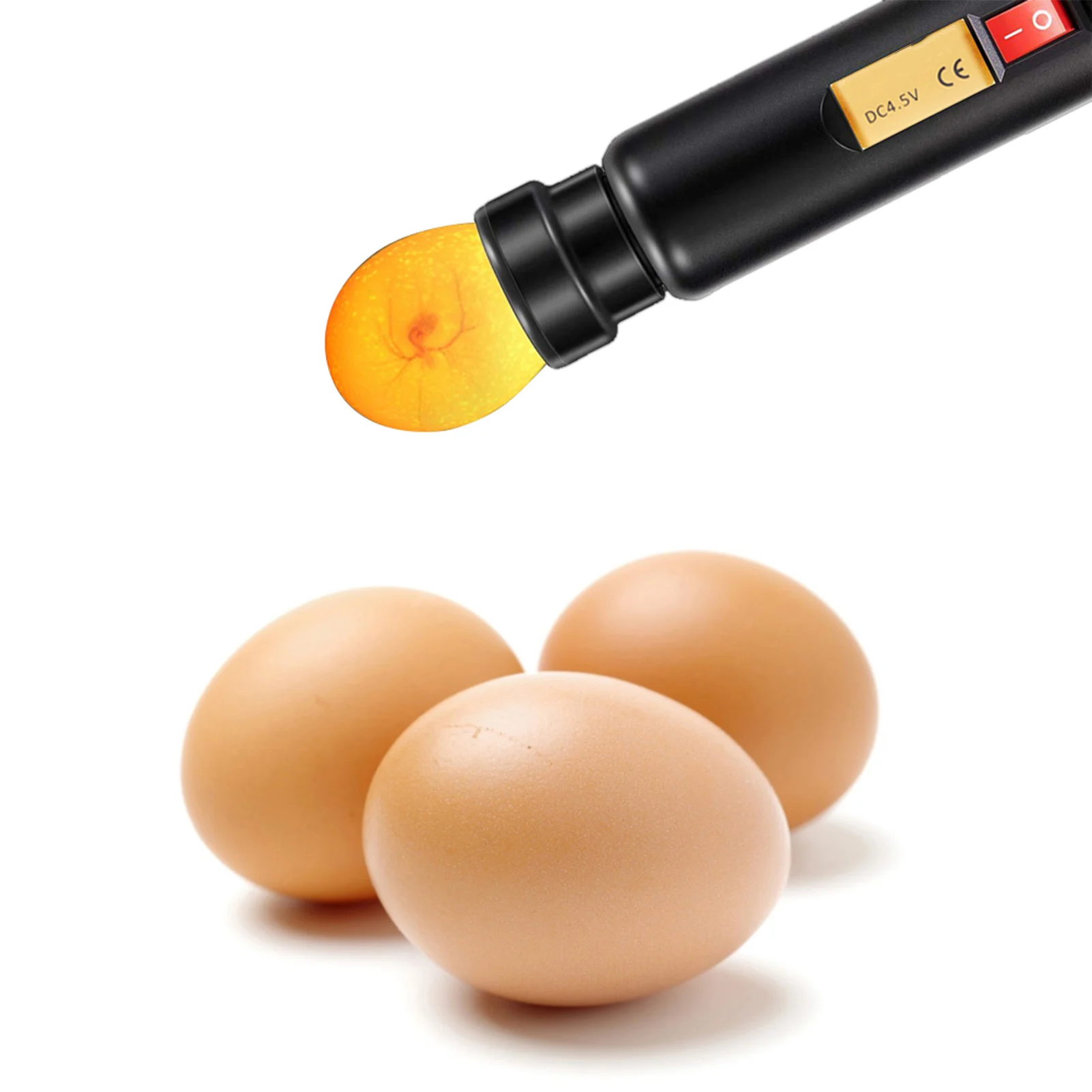 LED Licht Ei Kerzen tester Auto Mini Beleuchtung Inkubator für Experiment exklusiv Image