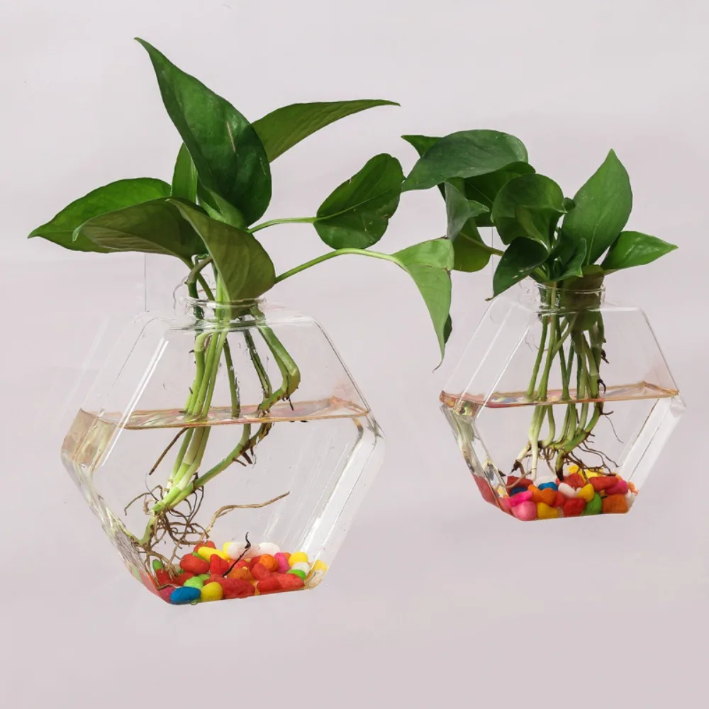 Kreative hängende sechseckige Glasvase, Wandmontage, Aquarium, Wandmontage, grüner Efeu, Hydrokultur-Pflanzenbehälter, Heimdekoration Image