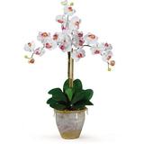Nearly Natural Triple Phalaenopsis Artificial Orchid Flower Arrangement White
