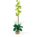 Nearly Natural Single Phalaenopsis Liquid Illusion Silk Flower Arrangement Green