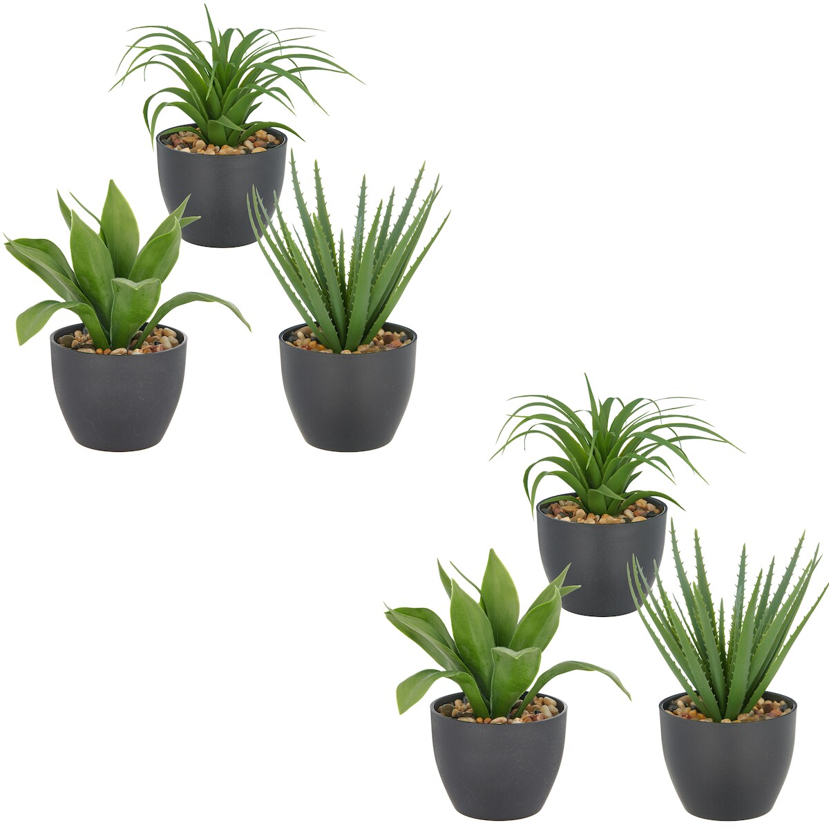 CREATIV green künstliche Pflanze Sukkulenten-Set im stilvollen Kunststofftopf, 20cm, grün, im 3er Set Image