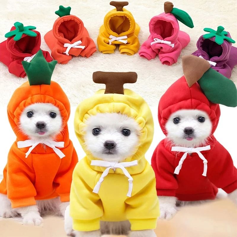 Plush Cartoon Fruit Pet Winter Fleece carrot xl