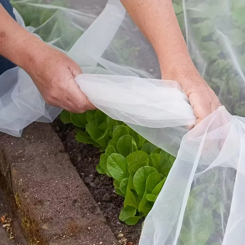 Gewächshausschutz, Mehrzweck-Insektennetz, verbessertes Netz für Gemüse, Obst, Bäume, Vogelprävention, Schädlingsbekämpfung Image