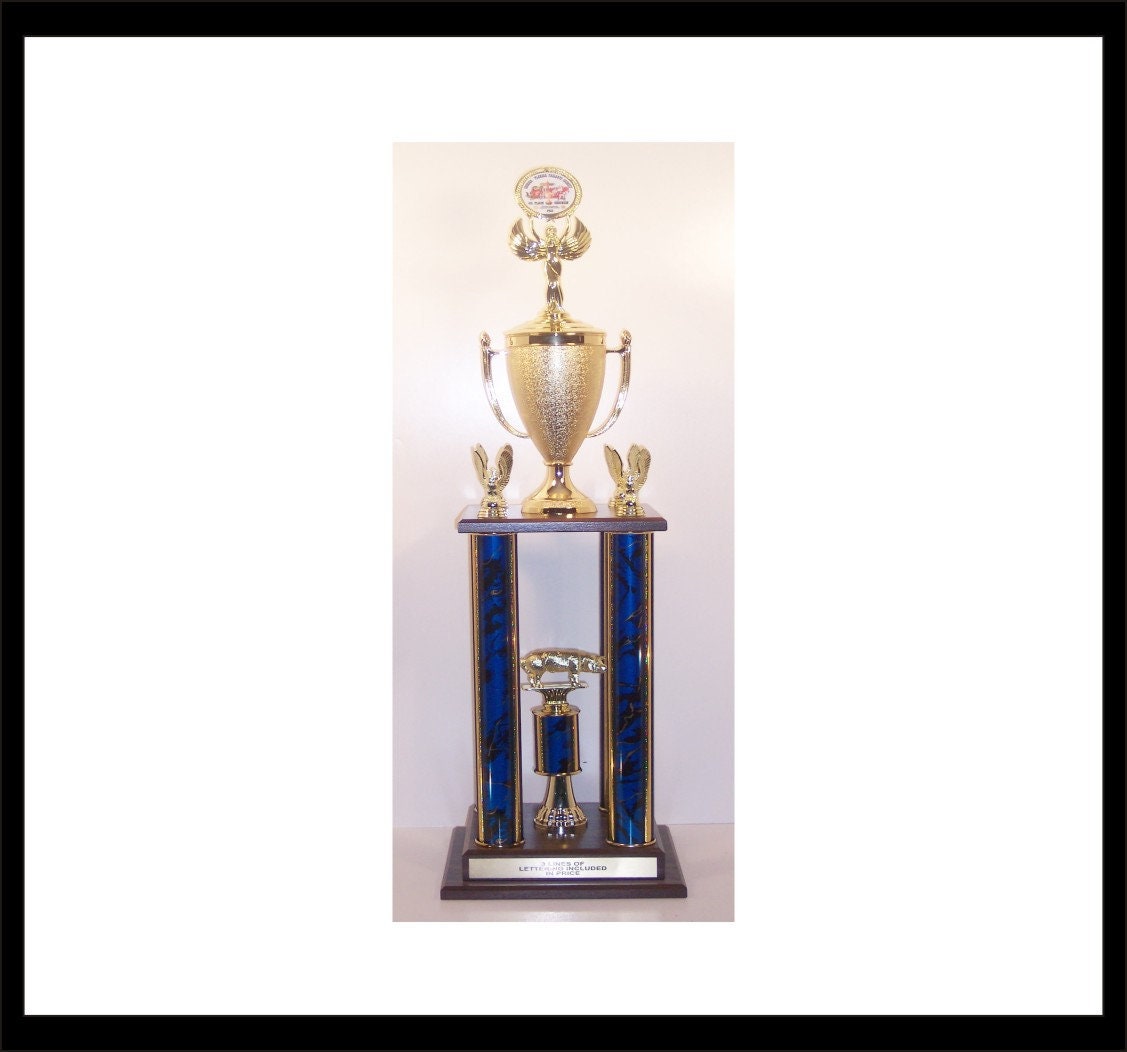 Trofeo BBQ 600 Chicken, Vincitore del pollo, Gran campione, Campione di riserva, 1o posto pollo, Miglior pollo, Scelta del pubblico, Vincitore del pol