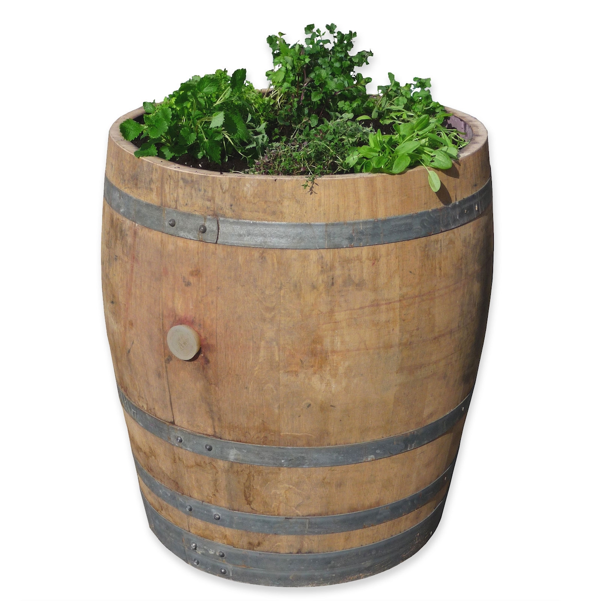 3/4 von Weinfass als Pflanzkübel, Hochbeet Image