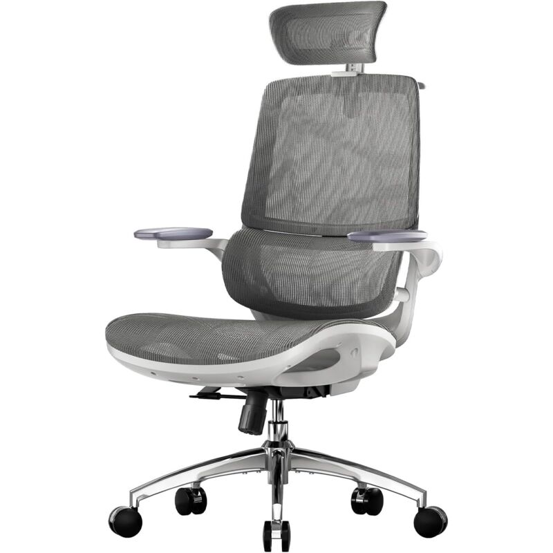Sihoo M59as Sedia Ufficio Ergonomica, Sedia Da Scrivania Con Braccioli 3d Coordinati Ribaltabili, Sedia Computer Con Doppio Schienale E Supporto Lombare Dinamico Adattivo
