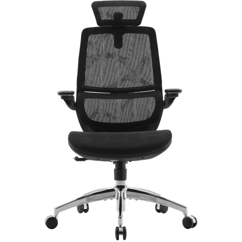 Sihoo M59as Sedia Ufficio Ergonomica, Sedia Da Scrivania Con Braccioli 3d Coordinati Ribaltabili, Sedia Computer Con Doppio Schienale E Supporto Lombare Dinamico Adattivo (nero)