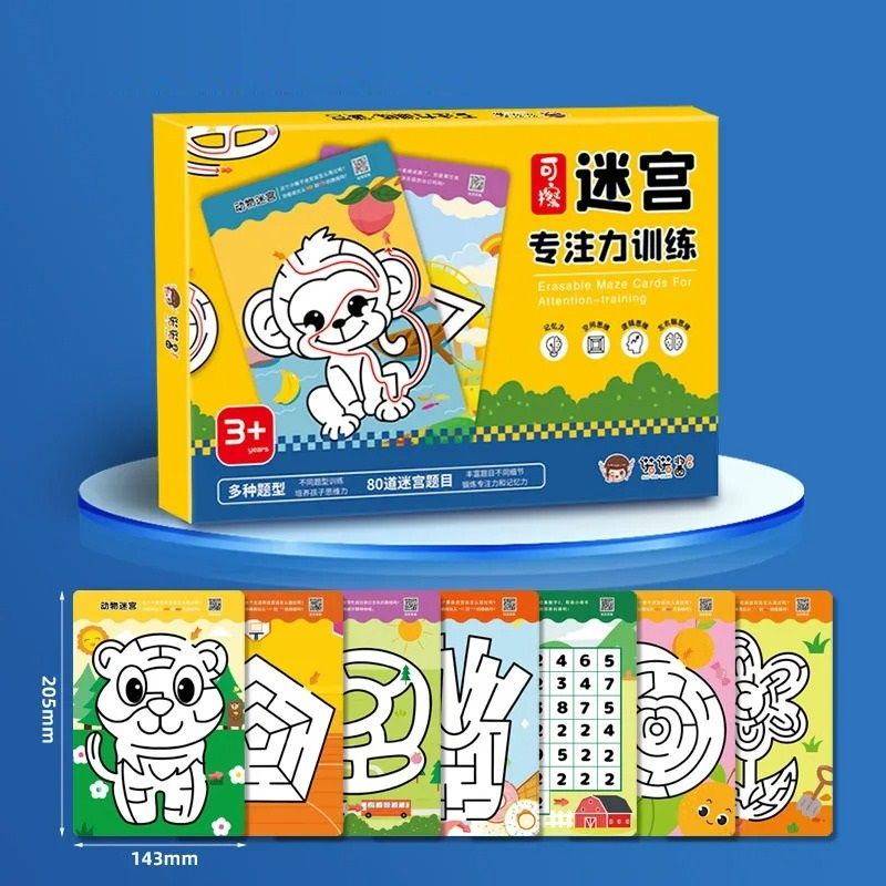 Maze Focused Training And Intellectual Development Book box Of 80 Pages