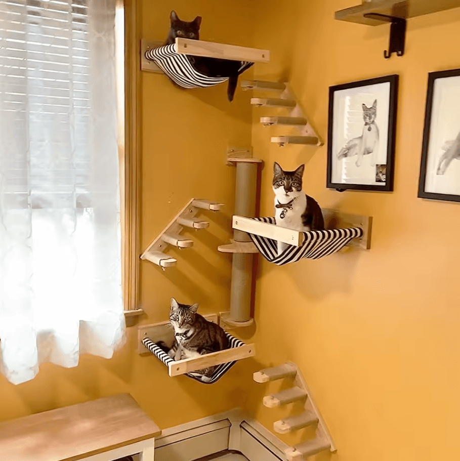 Wall Mounted Cat Climbing Shelves Wooden Cat Tree With Scratcher Rope Ladder And Sleeping Platform cat Face1