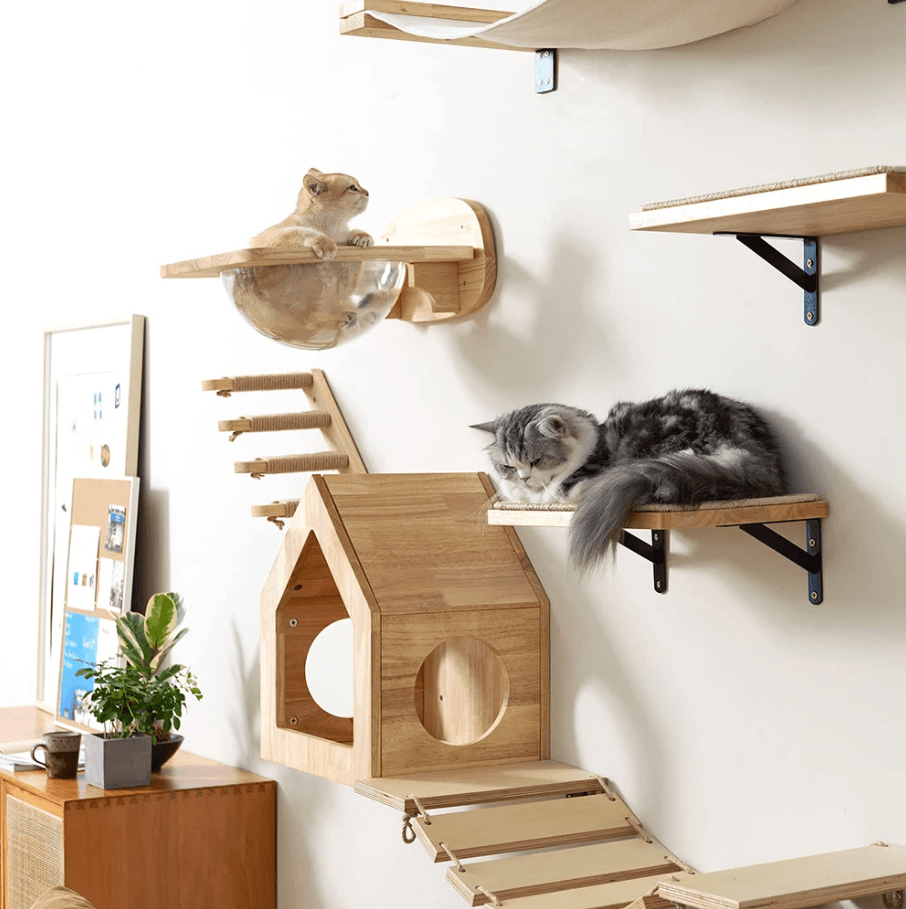 Wall Mounted Cat Shelves With Hammock And Steps For Indoor Climbing And Rest 2pcs Cat Hammock