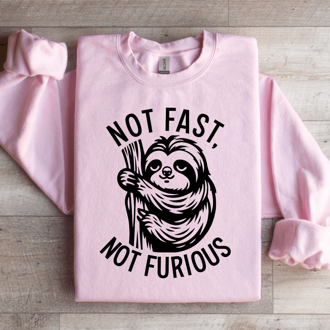 Not Fast Not Furious Sweatshirt 3XL Sport Grey