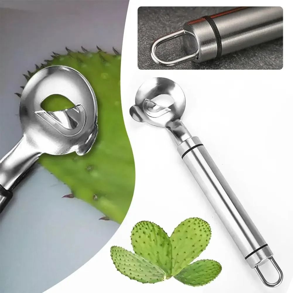 Stainless Steel Cactus Peeler Spoon 3pcs
