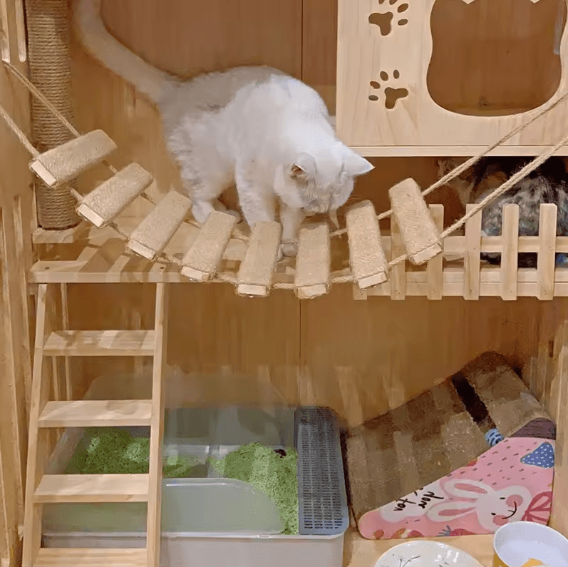 Wall Mounted Cat Bridge And Climbing Ladder With Sisal Scratcher For Indoor Cats scratching Post 2