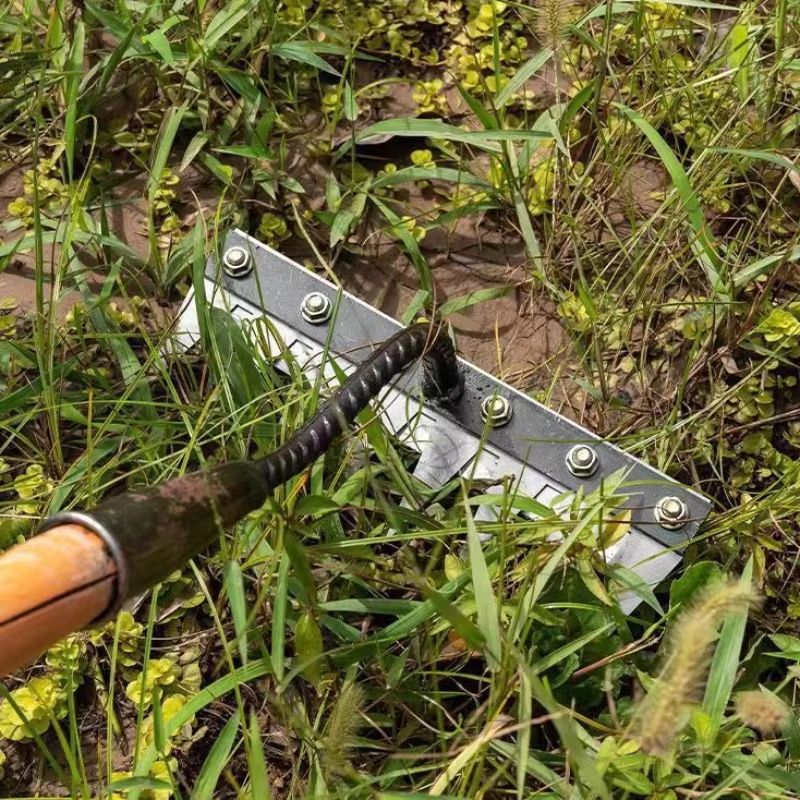 Carbon Steel Garden Hand Rake For Weeding And Soil Care 6 Teeth