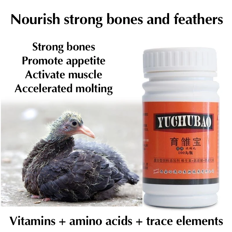 Junge Taube, Renntaube, Aufzucht der Schatz, starke Knochen, Appetit, Muskelaktivierung und beschleunigtes Geschmolzen, 100 Tabletten Image