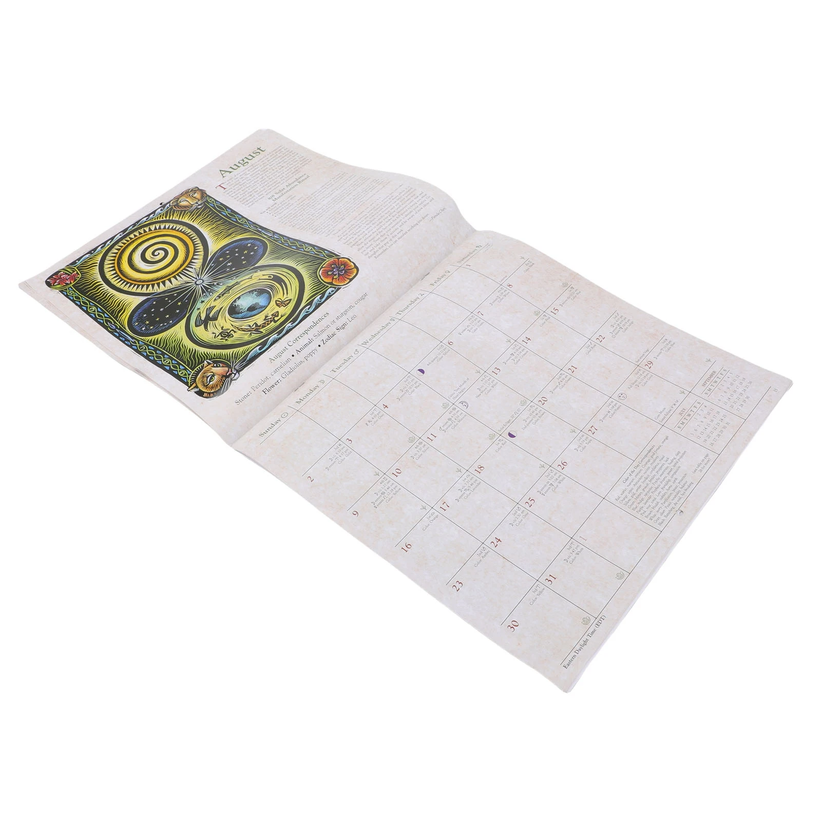 2026 Hexenkalender Beschichtetes Papier Astrologischer Hexenplaner Kalender mit Zauberformeln Ritualen Mondphasen 2026 Hexen-Terminplaner Image