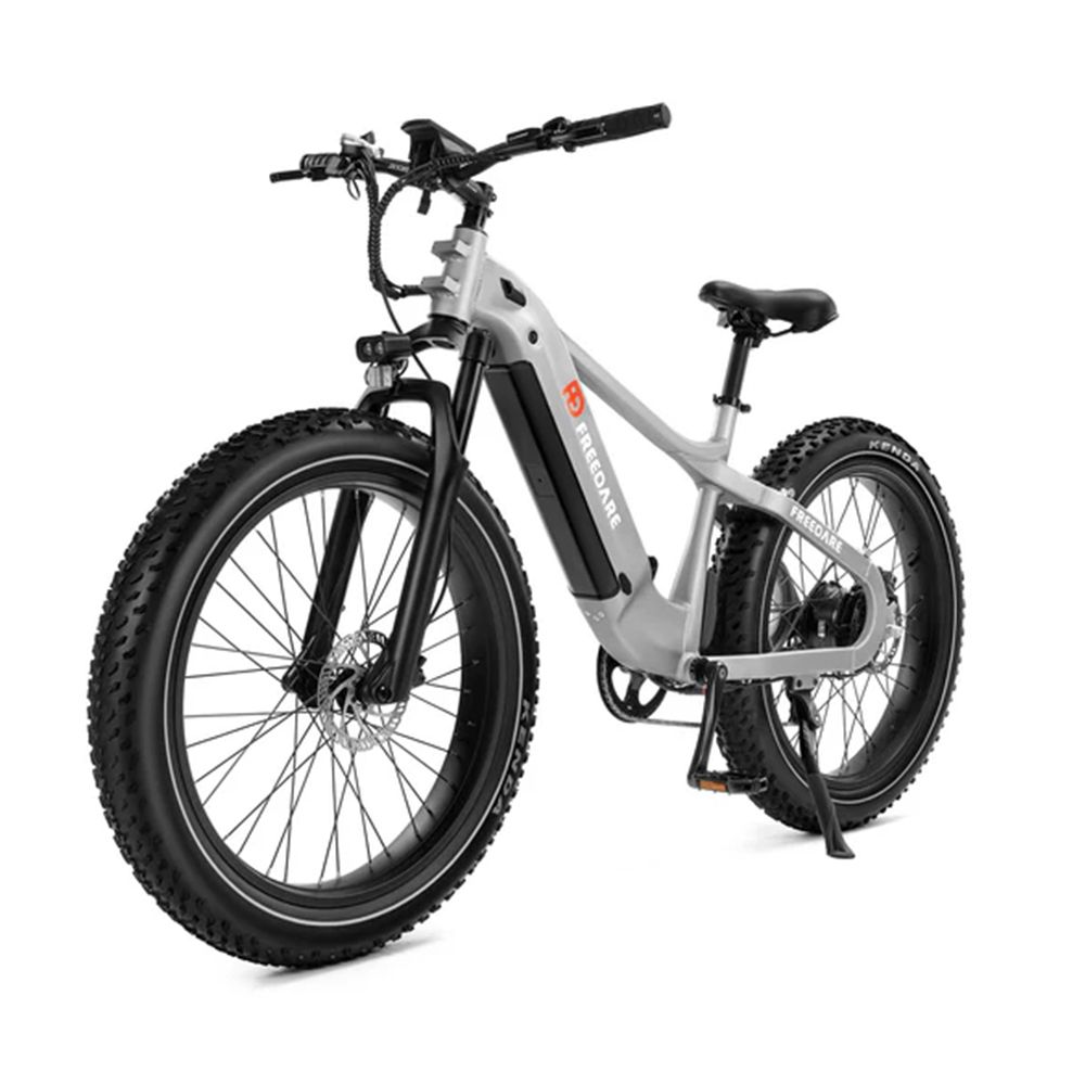 Bicicletta elettrica FREEDARE Saiga con batteria 48V20Ah, GPS 1 St