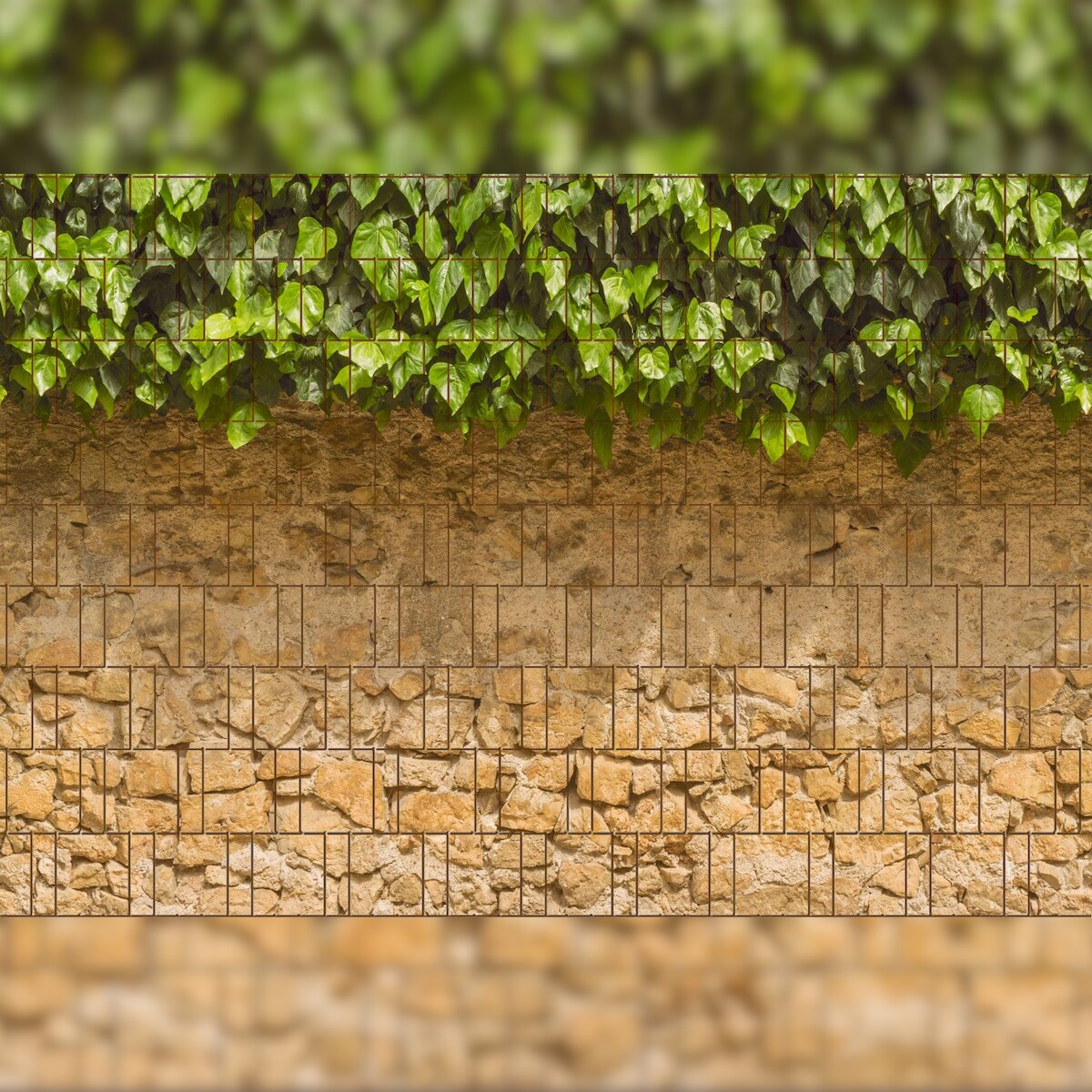 zaun|zu® Sichtschutz Efeu & Mauer - Bedruckter Sichtschutz 2,5m x 1,8m Image