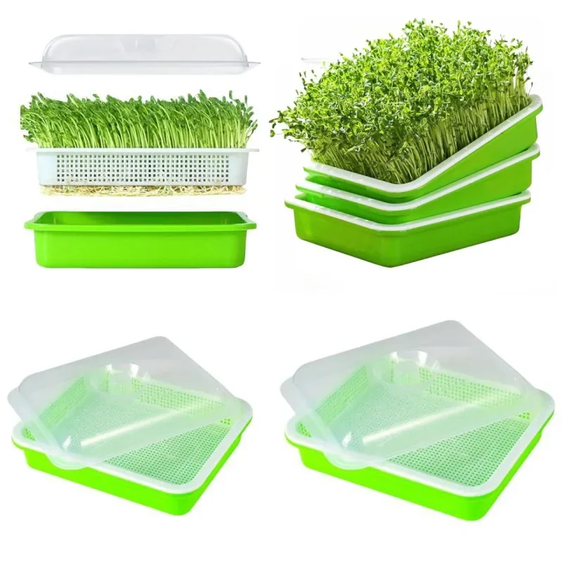 1set Kunststoff Sprossen Tablett Mit Abdeckung Erbse Bohnen Weizen Katze Gras Sämling Keimung Pflanzen Töpfe Kindergarten Platte Samen Sprossen Image