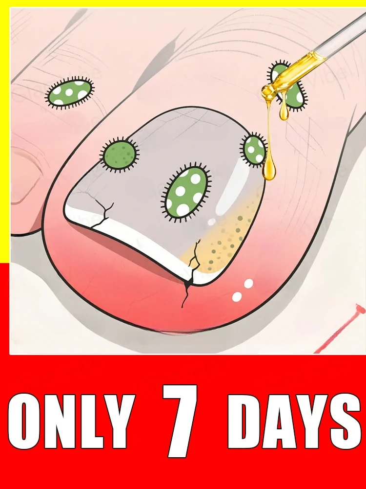 ht Rejuvenator – Technologie zur Schimmelprävention – einstellbare Temperaturregelung und Sicherheitssensor Image