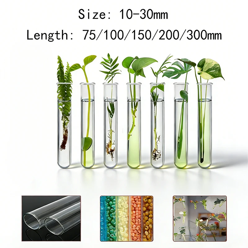 5 Stück Klare Reagenzglas-Vasen für Blumen, DIY Heimdekoration Hydroponischer Pflanzenständer, Acrylglas Wandpflanzgefäß Inkubator Image