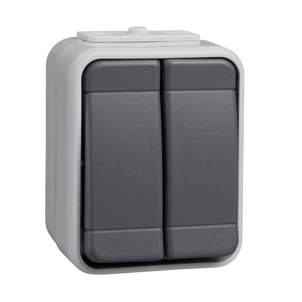 Elso Doppeltaster lg/dg 442509 Image