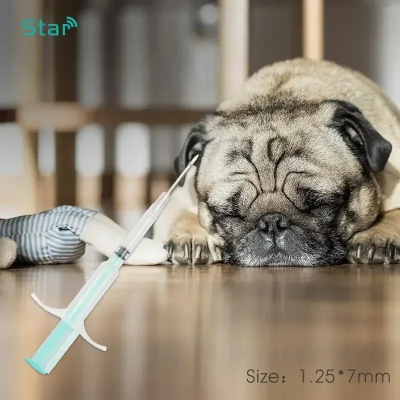 50PC 134,2KHz Tier Spritze ID Implantator ISO11784/5 Pet ID Chip Tag 1,25x7/2,12x12/1,4x8mm Haustier Spritze Tier Microchip für Haustier